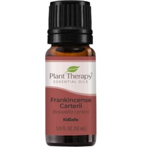 PLANT THERAPY FRANKINCENSE CARTERII